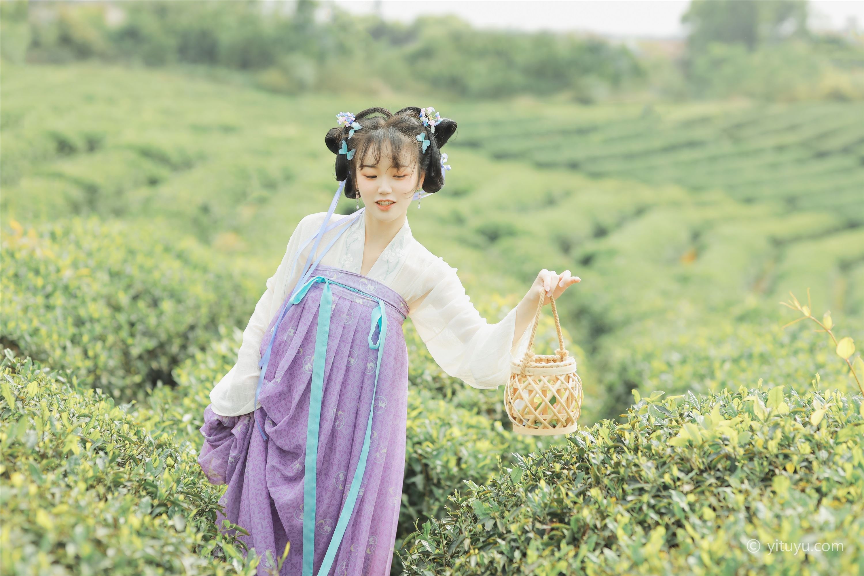 YITUYU艺图语  2021.06.02 青青白茶 柚子